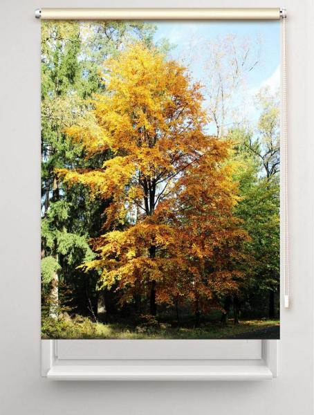 Rollo Heideglück, Rollo, Motivrollo, Rollo mit Druck, Fotorollo, bedrucktes Rollo, Fensterrollo,verdunkelndes Rollo, Sonnenschutz Rollo